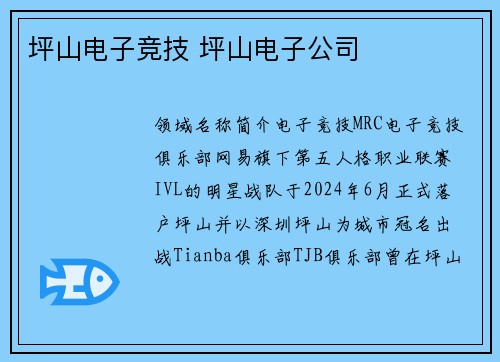 坪山电子竞技 坪山电子公司